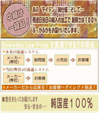 円座（45Rcmカバー用）　中材　ヌードクッションはポリエステルわたで発送当日わた入れ加工【円座クッション 介護用品 床ずれ 床ズレ 産前 産後 国産 日本製】