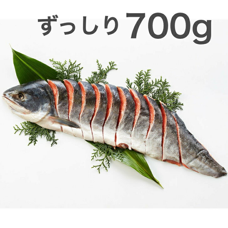 新巻鮭 【送料無料】北海道産 新巻鮭 半身姿 切身 700g 秋鮭 石狩 一貫製造 二分割 保存しやすい 真空パック ギフト お取り寄せ お土産 手土産 グルメ 内祝い お祝い プレゼント 自分へご褒美 引越し 常備 非常食