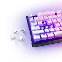SteelSeries PRISMCAPS ダブルショット プリンスタ...(2)