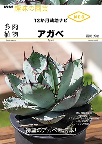 多肉植物 アガベ NHK趣味の園芸 12か月栽培ナビNEO 