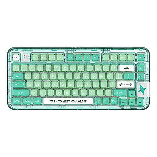 YUNZII Coolkiller CK75 無線 ホットスワップメカニカルキーボード 透明アクリル ガスケット装着 ワイヤレス キーボード Windows/Mac用(Meow Switch,ミントグリーン)