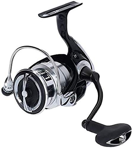 (DAIWA) ԥ˥󥰥꡼ 19 쥰 LT4000S-CXH(2019ǥ)