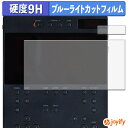 【 9H ブルーライトカット 】フィルム avex BRTNAP ポータブルDVDプレイヤー 保護フィルム ブルーライトカットフィルム アンチグレア 高硬度 反射防止 指紋防止 液晶保護フィルム