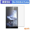 【 9H ブルーライトカット 】フィルム FIIO M21 保護フィルム ブルーライトカットフィルム 光沢 高硬度 指紋防止 画面保護 液晶保護フィルム