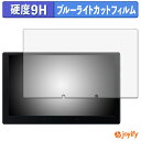 【 9H ブルーライトカット 】フィルム ATOTO X10 ( X10G110E ) 保護フィルム ブルーライトカットフィルム 光沢 高硬度 指紋防止 画面保護 液晶保護フィルム