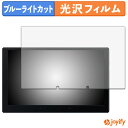 【 ブルーライトカット 】フィルム ATOTO X10 ( X10G110E ) 保護フィルム 光沢 鮮明 画面保護 ブルーライトカットフィルム 指紋防止 液晶保護フィルム