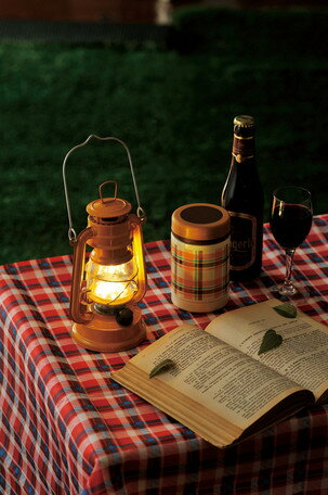 �������륦���롡LED�ե����ꥢ����󥿥�/�ޥ�������/�ɺ�/�����ȥɥ�