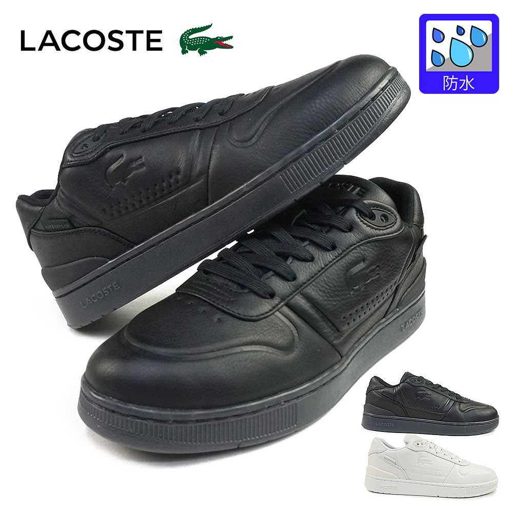 樂天商城 - ラコステ LACOSTE 防水スニーカー メンズ 靴 黒 白 レザー Tクリップ シールド 225 50SMA0192 50SMA0193 T-CLIP SHIELD 225 25秋冬新作