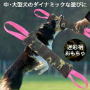 \シニアペットデー!対象クーポンをゲット!/ 犬 おもちゃ 噛む ひっぱり トレーニング 訓練 迷彩柄 中型犬 大型犬 洗える おもちゃ好き 破壊 誕生日 プレ...