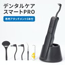  デンタルケア スマートPRO 電動 スタンド式 電池 コードレス デンタル ケア 口 歯 ヤニ 歯石 歯垢 アタッチメント LED LEDライト付き ブラック 黒 送料無料マリン商事 EL-20084