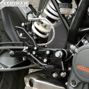 XgCJ[ XyVXebvLbg KTM DUKE125/200/390 6|WV obNXebv STRIKER SS-AA2121B SPECIAL STEP KIT