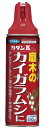 フマキラー カダンK 450ml