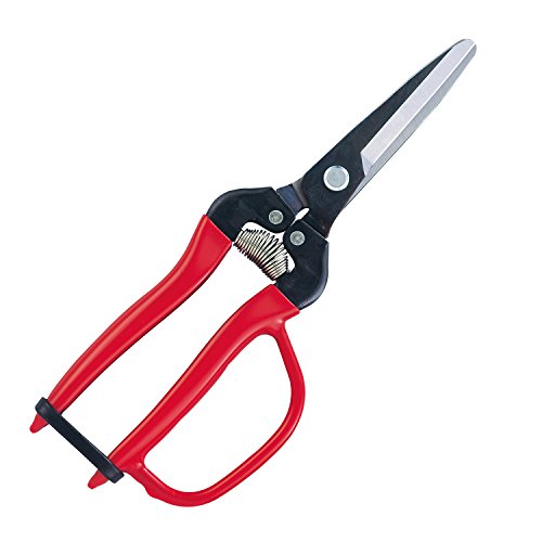 アルスコーポレーション　菜園鋏ガ—ド付（ブリスタ—パック入り）　300LW—G—BP