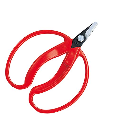 ���륹�����ݥ졼����󡡺μ�����ľ�ʥ֥ꥹ��?�ѥå�����ˡ�400?BP