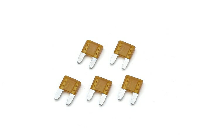 KIJIMA ������ �ҥ塼�� �ߥ˥ҥ饬�� 5A 5�� (304-7106)