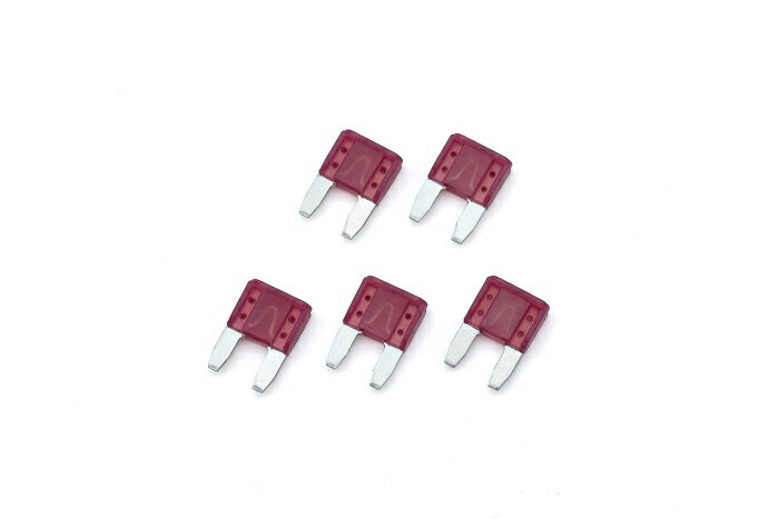 KIJIMA ������ �ҥ塼�� �ߥ˥ҥ饬�� 10A 5�� (304-7108)