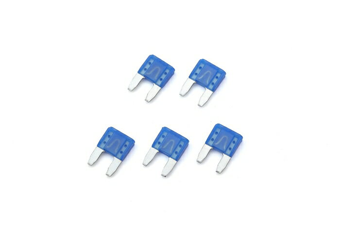 KIJIMA ������ �ҥ塼�� �ߥ˥ҥ饬�� 15A 5�� (304-7109)