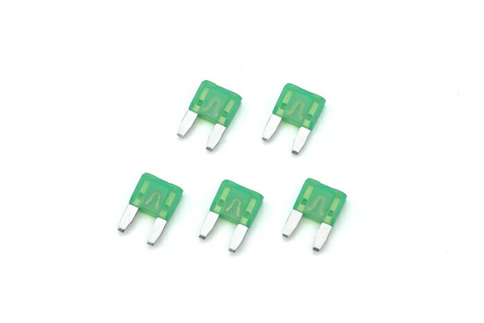 KIJIMA ������ �ҥ塼�� �ߥ˥ҥ饬�� 30A 5�� (304-7112)