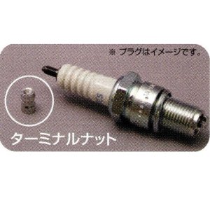 CF.POSH 800024���������ߥʥ�ʥå�