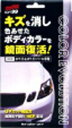 ソフト99コーポレーション ソフト99 COLOR EVOLUTION W&WP (00501)