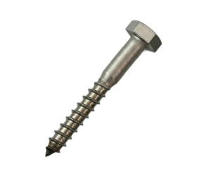 ハイロジック F484ステン六角コーチスクリ10×75