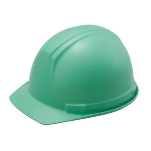 谷沢製作所 タニザワ ヘルメットT 0169-EZ-G2-J 4244