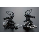 SHIFT UP NSF100 NSRミニ バックステップ BLACK (202601-06)(2)