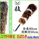 石塚羽毛/10030 ケバタキ