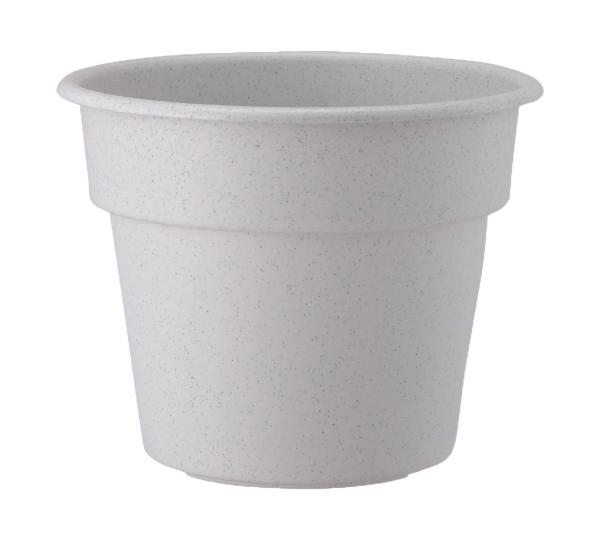 ���åץ륦������ ���åץ� AP�ݥå�6�� �ߥ���