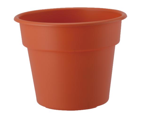 ���åץ륦������ ���åץ� AP�ݥå�10�� �ƥ饳�å�