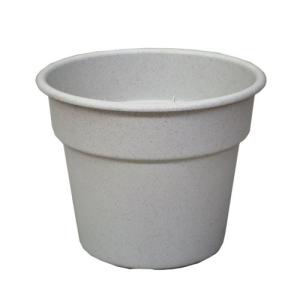 ���åץ륦������ ���åץ� AP�ݥå�14�� �ߥ���