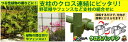 第一ビニール クロスパッチン 11mmx11mm 5個入れ