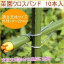 第一ビニール 菜園クロスバン 19Φ×22mm 10本入れ