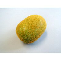 COMOLIFE コモライフ 日本職人が作る 食品サンプル キウイ IP-353 (4351bt)