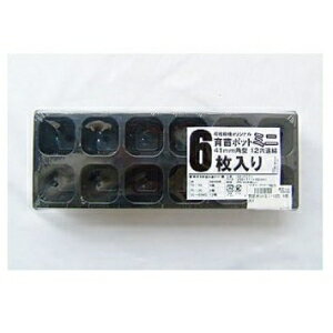 園芸ネット 育苗ポットミニ 41mm角型12穴連結SS-POT41