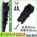 石塚羽毛(株) イシヅカウモウ (13)オーストリッチ ケバタNO.3500 code:000096