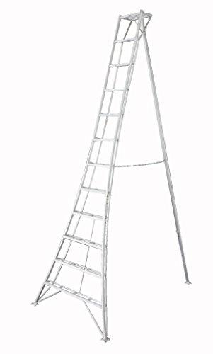 &nbsp;メーカー&nbsp;長谷川工業(Hasegawa)&nbsp;商品カテゴリ&nbsp;はしご・脚立＞脚立&nbsp;発送目安&nbsp;2日〜3日以内に発送予定（土日祝除）&nbsp;お支払方法&nbsp;銀行振込・クレジットカード&nbsp;送料&nbsp;送料無料&nbsp;特記事項&nbsp;&nbsp;その他&nbsp;※※※※※※※※※※※※※※※※※ 仕様 ※※※※※※※※※※※※※※※※※タイプ 三脚脚立天板高さ 3.61 m耐荷重 100 kg重量 12.1 kg材質 アルミコンパクト収納 ○収納サイズ 幅147×高さ381×奥行22 cm