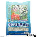 プロトリーフ 根ぐされ防止剤 600g