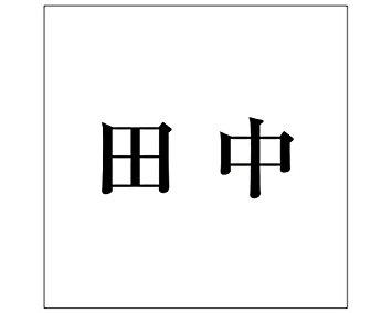 HILOGIC ハイロジック キリモジ ゴシック ブラック 100×100ミリ用 田中