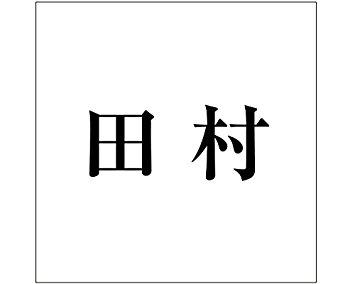 HILOGIC ハイロジック キリモジ ゴシック ブラック 100×100ミリ用 田村