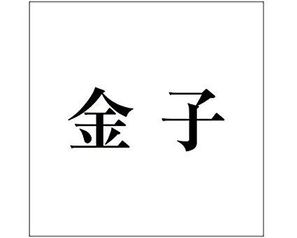 Other - HILOGIC ハイロジック キリモジ ゴシック ブラック 100×100ミリ用 金子