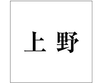 HILOGIC ハイロジック キリモジ ゴシック ブラック 100×100ミリ用 上野