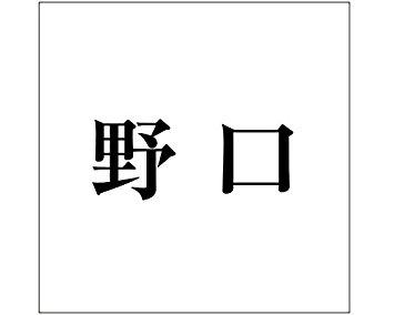 HILOGIC ハイロジック キリモジ ゴシック ブラック 100×100ミリ用 野口