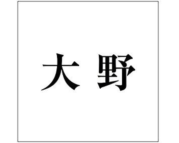HILOGIC ハイロジック キリモジ ゴシック ブラック 160×160ミリ用 大野