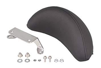 SP武川 バックレストキット(ラージタイプ)　アドレス110　品番：09-11-1152