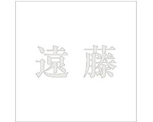Other - HILOGIC ハイロジック キリモジ ゴシック パールグレー 100×100ミリ用 遠藤