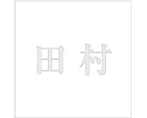 HILOGIC ハイロジック キリモジ ゴシック パールグレー 100×100ミリ用 田村