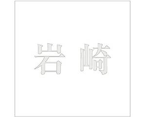 HILOGIC �ϥ������å� ����⥸ �����å� �ѡ��륰�졼 100��100�ߥ��� ���