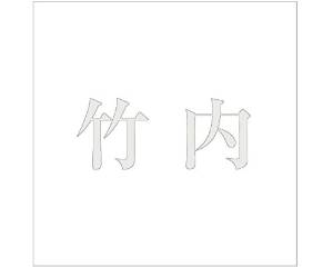 Other - HILOGIC ハイロジック キリモジ ゴシック パールグレー 160×160ミリ用 竹内