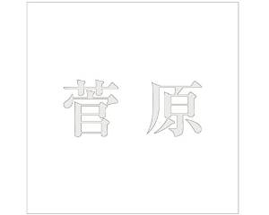 HILOGIC �ϥ������å� ����⥸ �����å� �ѡ��륰�졼 160��160�ߥ��� ����